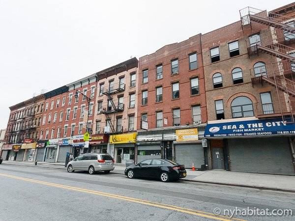 1243 fulton st deals brooklyn ny 11216