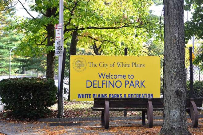 are dogs allowed in delfino park white plains