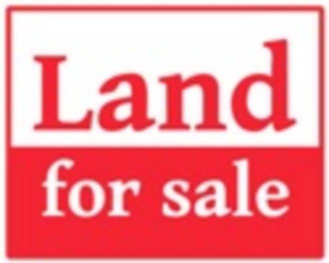 Holly Grove Church Rd., Magnolia, KY 42757 (Off Market MyStateMLS