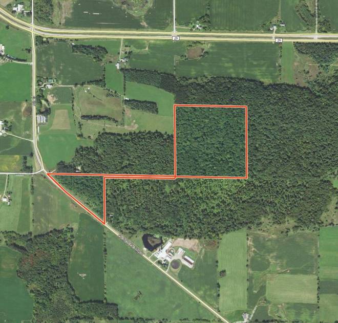 Cty Rd D, Tilleda, WI 54978 (Off Market NYStateMLS Listing #10623005)