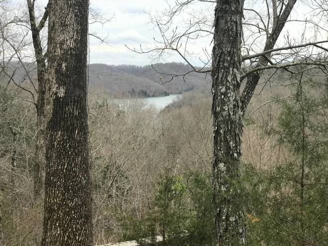 2396  Basin Rock Road,  photo