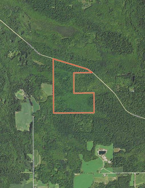 * County Rd D, Bowler, WI 54416 (Off Market NYStateMLS Listing 10702256)