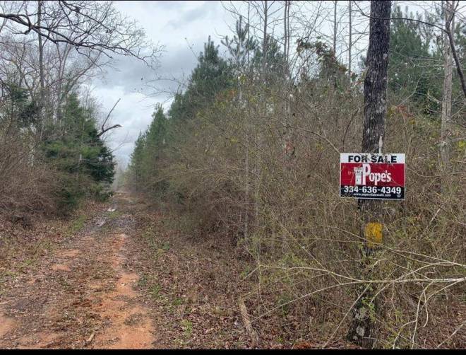 13968 HWY 25, Thomaston, AL 36783 (Sold NYStateMLS Listing 10732517)